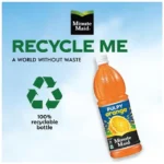 265722_12-minute-maid-fruit-drink-pulpy-orange.webp