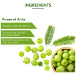 281039_12-dabur-amla-hair-oil-for-strong-long-thick-hair.webp