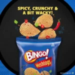 40270539_2-bingo-hashtags-spicy-masala-unique-flavour-crispy.webp