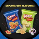 40270539_2-bingo-hashtags-spicy-masala-unique-flavour-crispy.webp